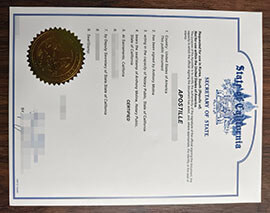 purchase realistic Apostille Certificate