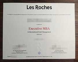 purchase realistic Les Roches degree