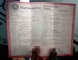 purchase realisticc Northeastern University Transcript