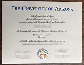 purchase realistic University of Arizona degree