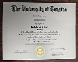 purchase realistic University of Houston degree