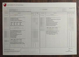 purchase realistic University of Nicosia Transcript