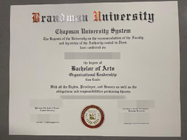 purchase realistic Brandman University degree