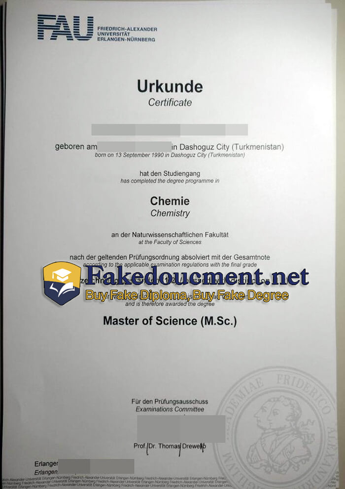 Friedrich-Alexander-Universitat-certificate.jpg