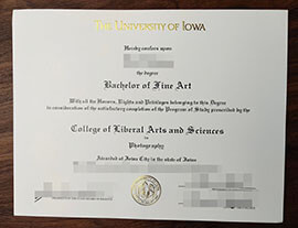 purchase realistic University of Iowa degree