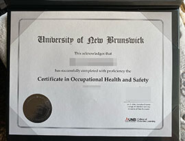 purchase realistic University of New Brunswick certificate