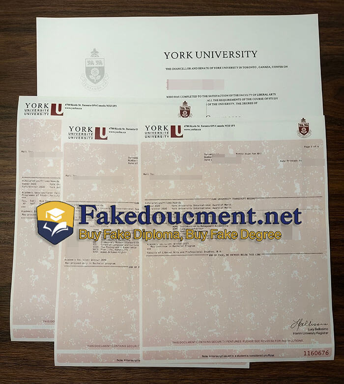 purchase realistic York University Transcript