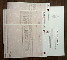 purchase realistic York University Transcript