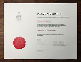 purchase realistic York University degree