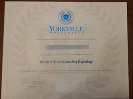 purchase realistic Yorkville University degree