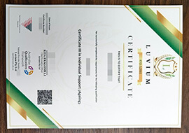 purchase realistic Luvium Certificate