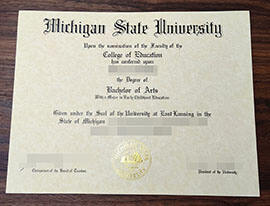 purchase realistic Michigan State University degree