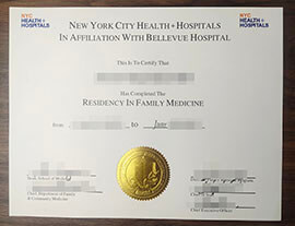 purchase realistic NYC Health + Hospitals certificate