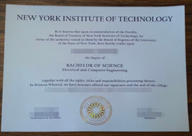 purchase realisticNew York Institute of Technology degree