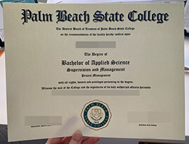 purchase realistic Palm Beach State College degree