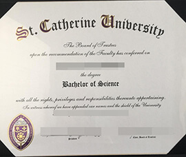 purchase realistic St Catherine University degree