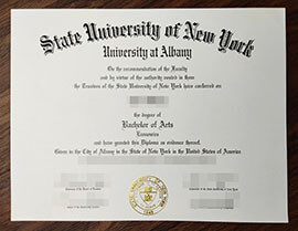 purchase realistic State University of New York at Albany degree