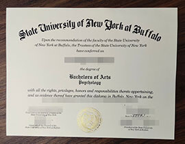 purchase realistic State University of New York at Buffalo degree