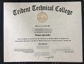 purchase realistic Trident Technical College certificate