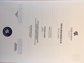 purchase realistic Aalborg University diploma