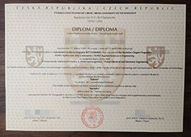 purchase realistic Brno University of Technology diploma