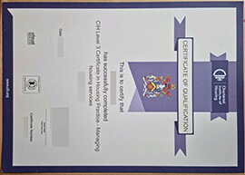 purchase realistic CIH Level 3 Certificate