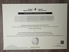 purchase realistic Istanbul Bilgi University degree