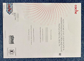 purchase realistic NCFE Cache Level 2 Certificate