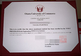 purchase realistic Otaru University of Commerce certificate