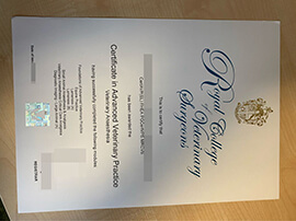 purchase realistic Royal College of Veterinary Surgeons certificate