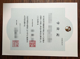 purchase realistic University of Tokyo degree