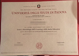 purchase realistic Università Degli Studi di Padova degree