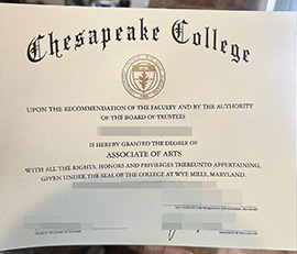 purchase realistic Chesapeake College degree