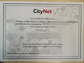 purchase realistic City Net certificate