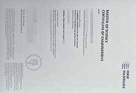 purchase realistic Hamburg University of Applied Sciences certificate