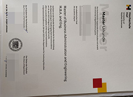 purchase realisitc Hochschule Hof degree