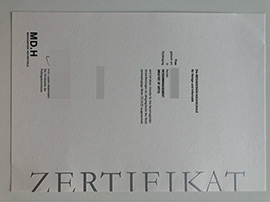 purchase a realistic Mediadesign Hochschule degree