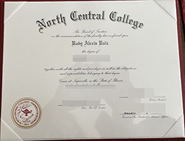 purchase realistic North Central College degree