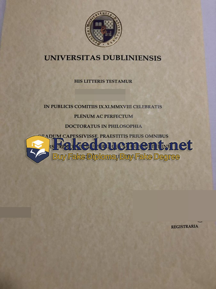 Universitas-Dubliniensis-degree.jpg