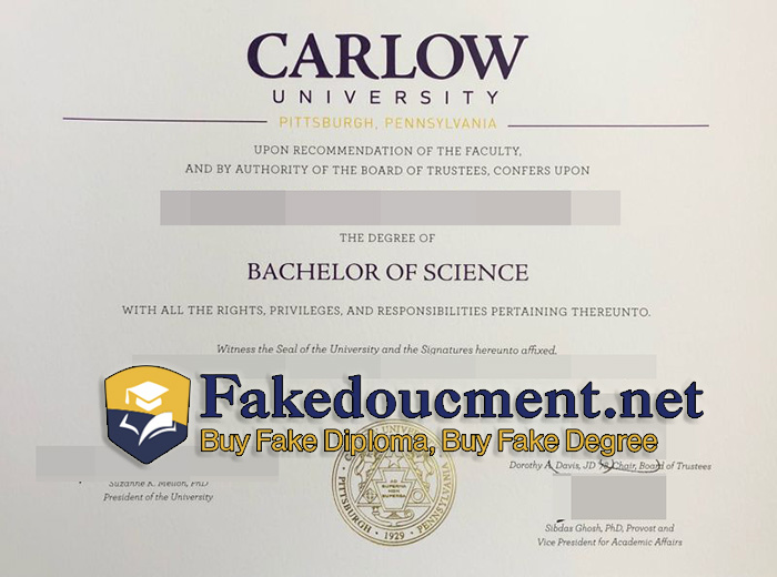 Carlow-University-degree.jpg