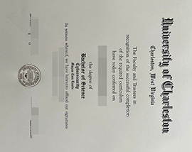 purchase realistic University of Charleston degree