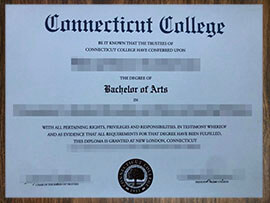 purchase realistic Connecticut College degree