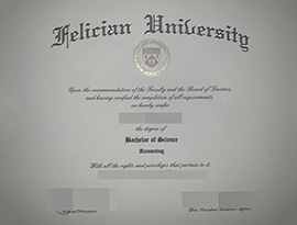 purchase realistic Felician University degree