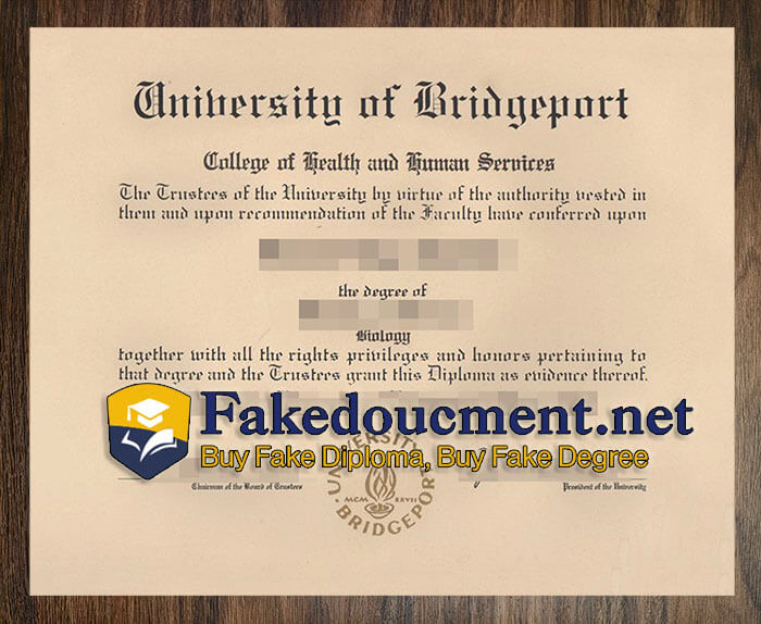 purchase realistic University of Bridgeport diploma