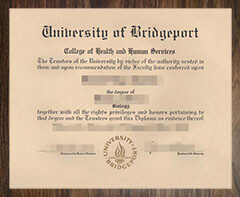 purchase realistic University of Bridgeport degree