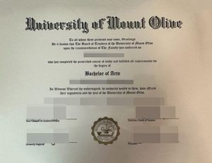 purchase realistic University of Mount Olive degree