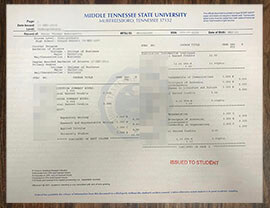 purchase realistic Middle Tennessee State University Transcript