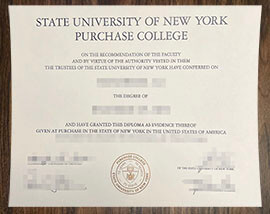 purchase realistic SUNY Purchase College degree