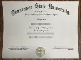 purchase realistic Tennessee State University degree