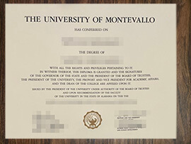 purchase realistic University of Montevallo degree